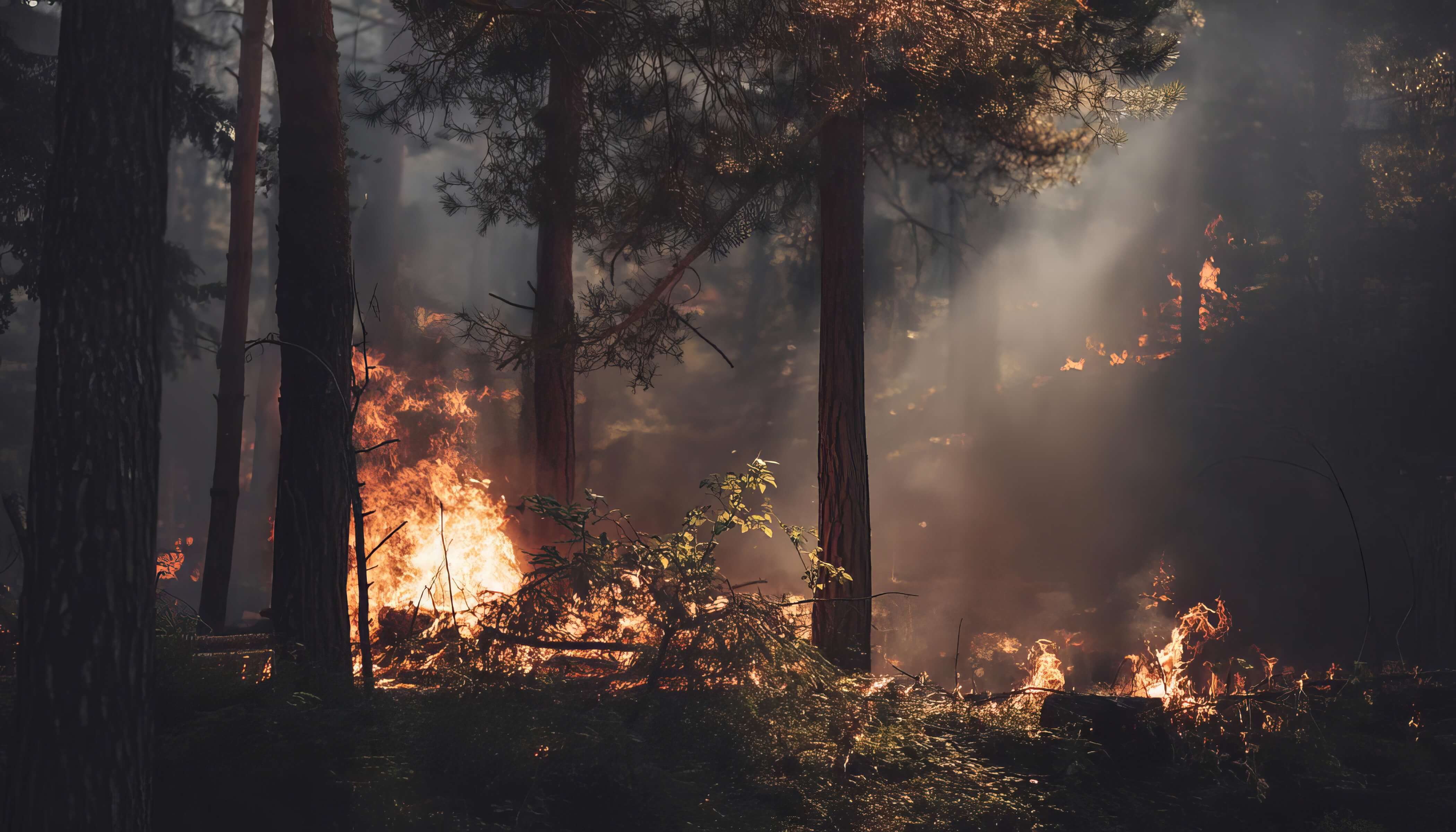 wildfires, natural disaster, preparing for a storm